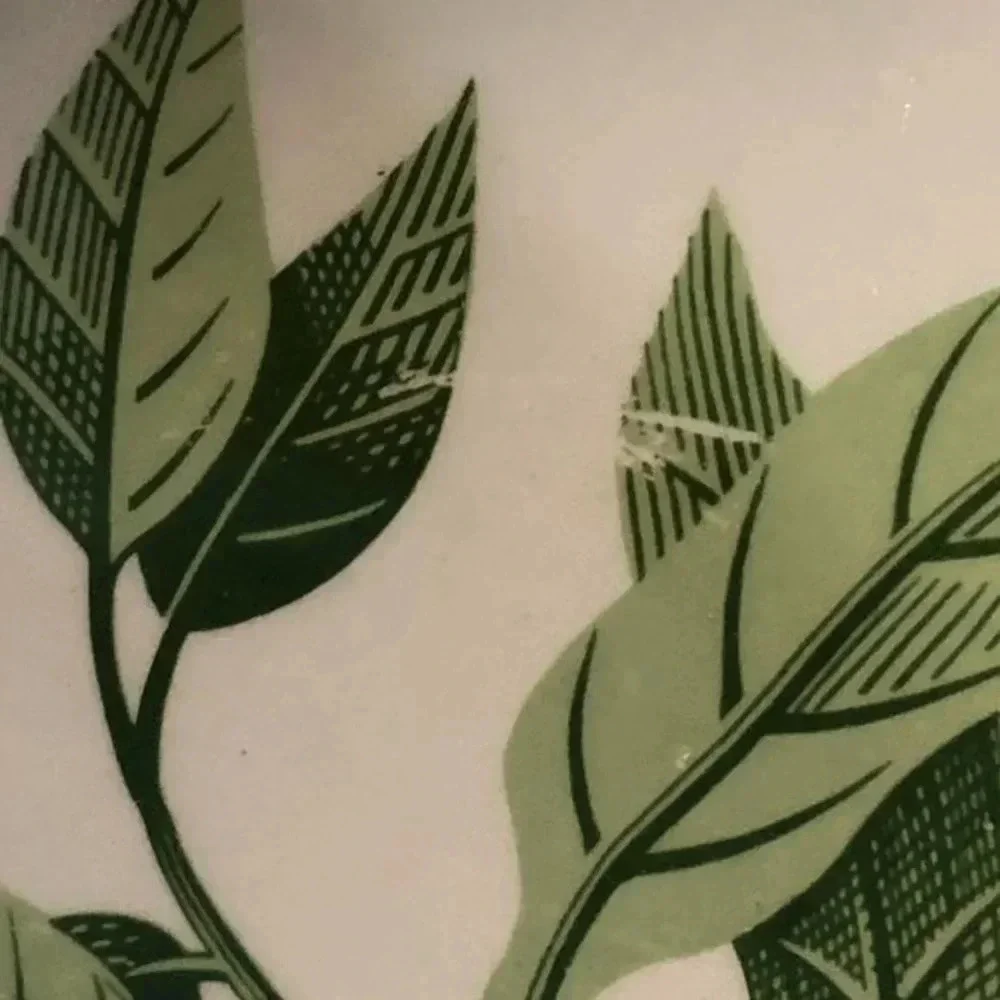vtg 1950s W.S. GEORGE Bolero Dinnerware Cottagecore floral mid-century classic